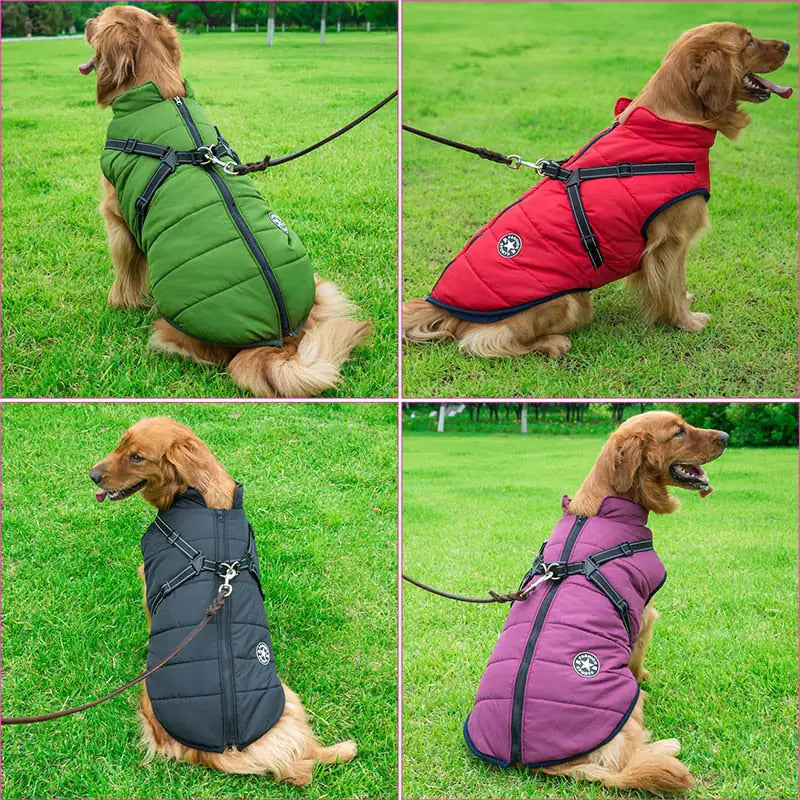 CozyTail® - Veste imperméable pour chien