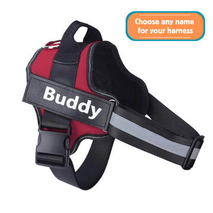 EasyHarness® - Harnais pour Chien Personnalisé Anti-Traction