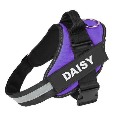 EasyHarness® - Harnais pour Chien Personnalisé Anti-Traction